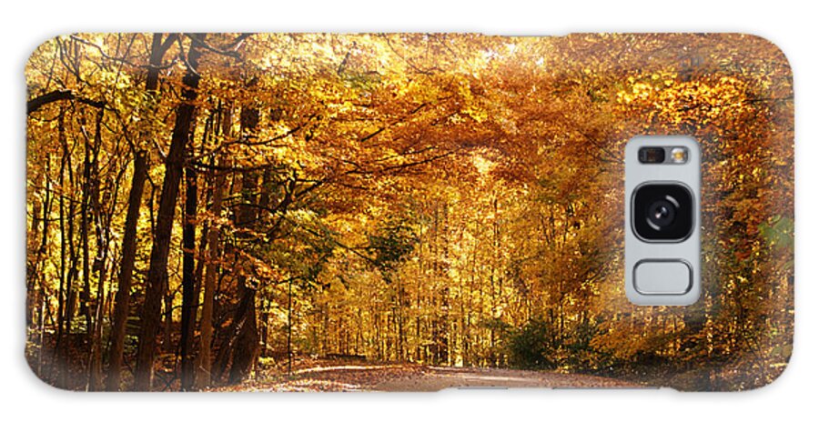 Autumn Galaxy Case featuring the photograph Colorful Canopy by Sandy Keeton
