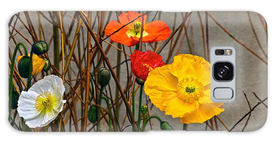 Red Yellow Orange White Poppies Galaxy Case featuring the photograph Colorful Poppies And White Willow Stems by Byron Varvarigos