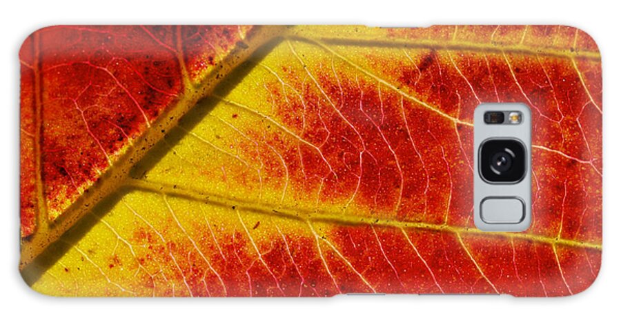 Red Galaxy Case featuring the photograph Colors Of Autumn by Meir Ezrachi