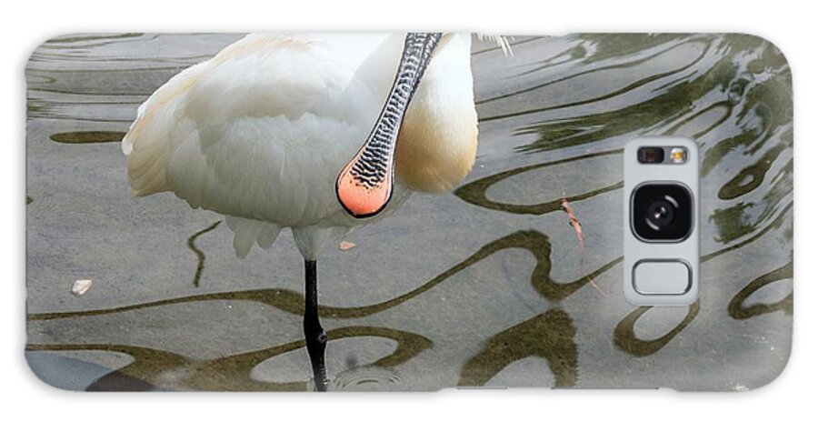 Spoonbill Galaxy Case featuring the photograph Common Spoonbill by Brian Gadsby/science Photo Library