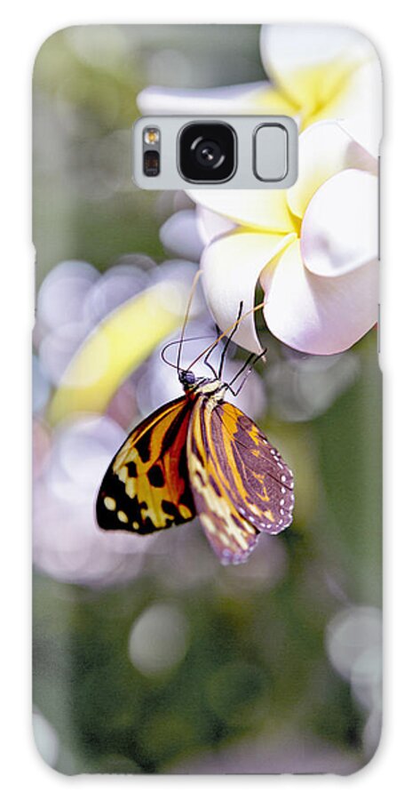 Common Tiger Glassywing Butterfly Galaxy Case featuring the photograph Common Tiger Glassywing Butterfly on Plumeria Bloom by Her Arts Desire