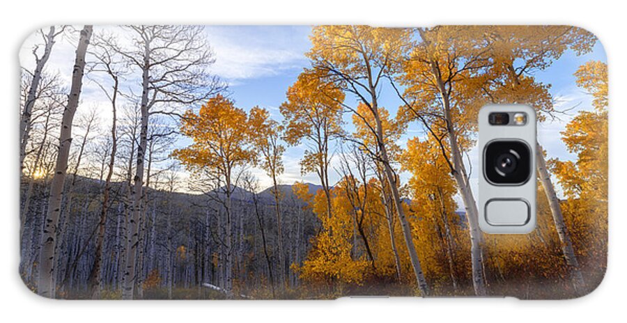 Fall Galaxy Case featuring the photograph Comparison by Chad Dutson