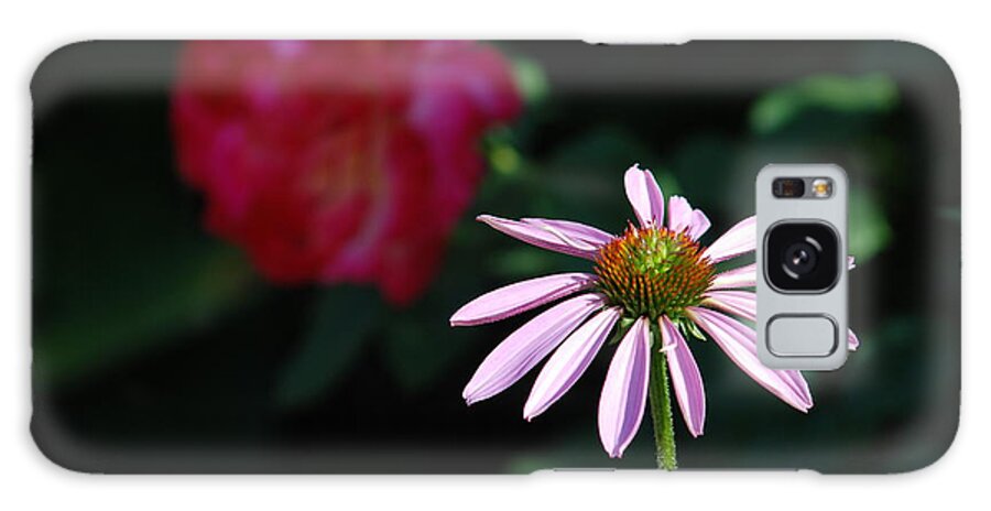 Echinacea; Flower; Flowers; Pink; Pink Coneflower; Purple Coneflower; Purple; Cone Flower; Coneflower; Rose; Flower Garden; Galaxy Case featuring the photograph CONEFLOWER AND A ROSE No. 2 by Janice Adomeit
