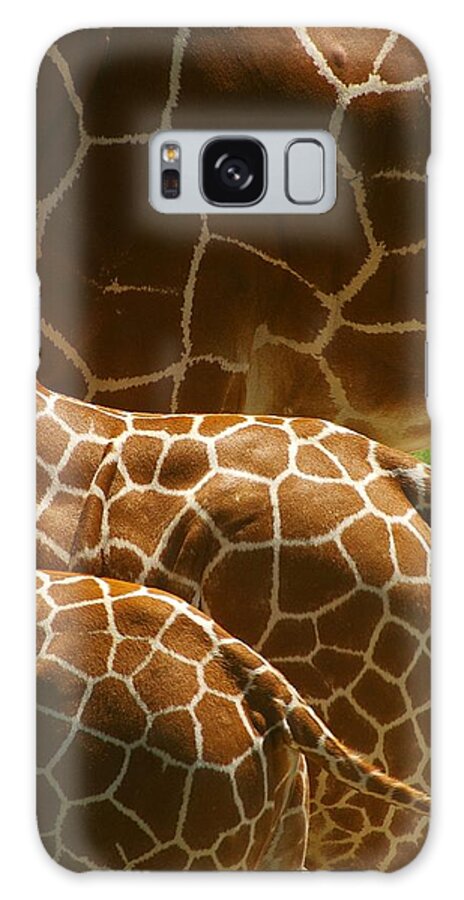 Giraffe Galaxy Case featuring the photograph Connection by Randy Pollard