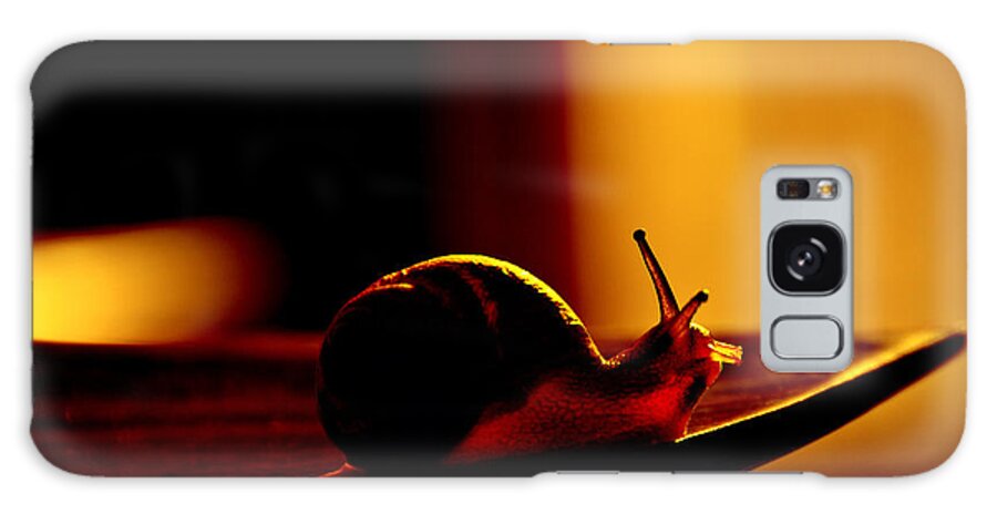 Snail Galaxy Case featuring the photograph Contre-jour by Andrei SKY