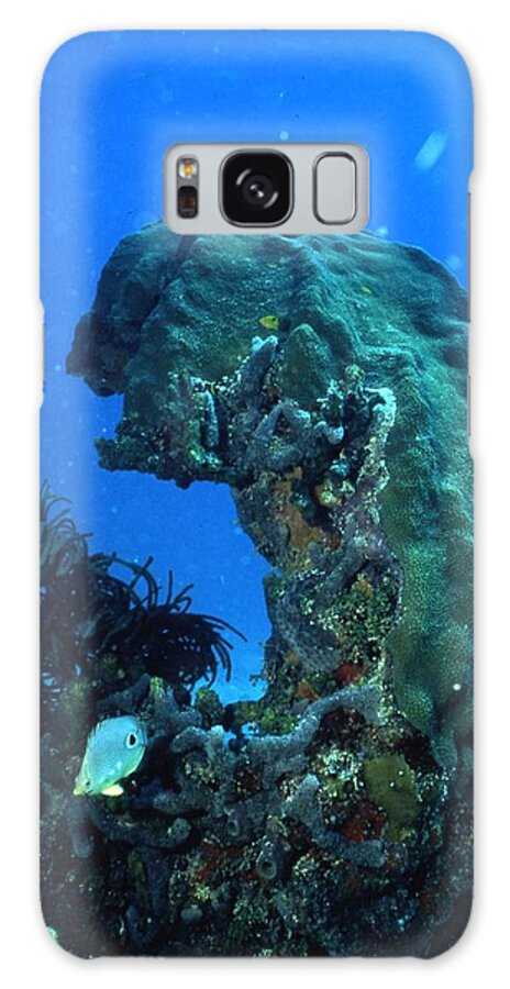 Retro Images Archive Galaxy Case featuring the photograph Coral in the Gulf of Mexico by Retro Images Archive