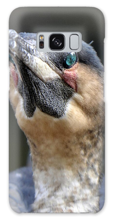 Bird Galaxy S8 Case featuring the photograph Cormorant portrait by William Bitman