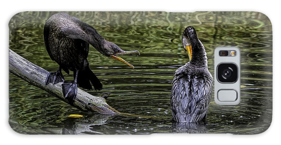 Birds Galaxy Case featuring the photograph Cormorant Squabble by Donald Brown