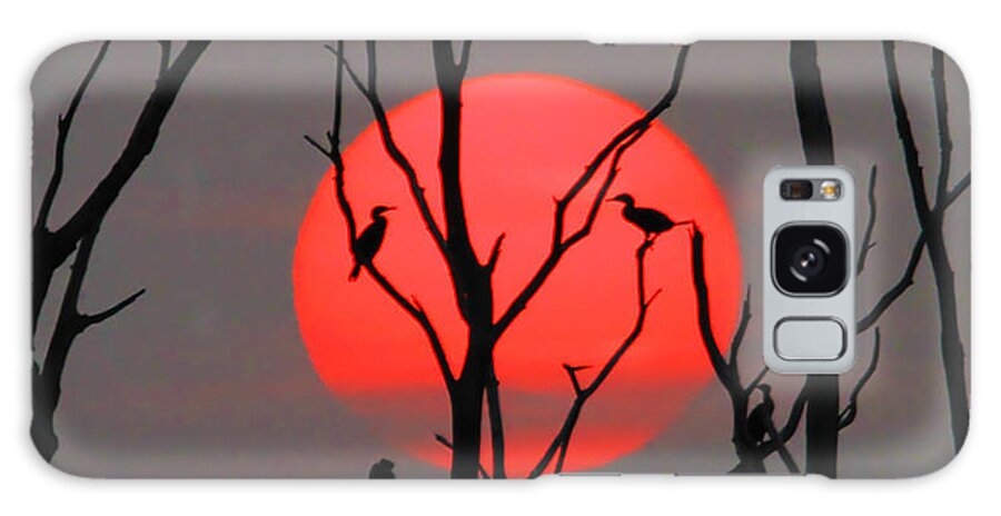 Sunrise Galaxy Case featuring the photograph Cormorants at Sunrise by Roger Becker