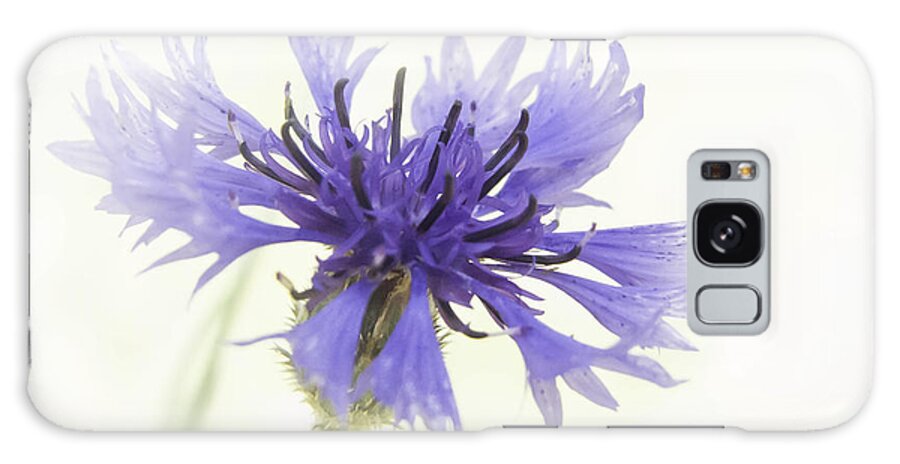 Flower Galaxy Case featuring the photograph Cornflower Blue by Susan Eileen Evans