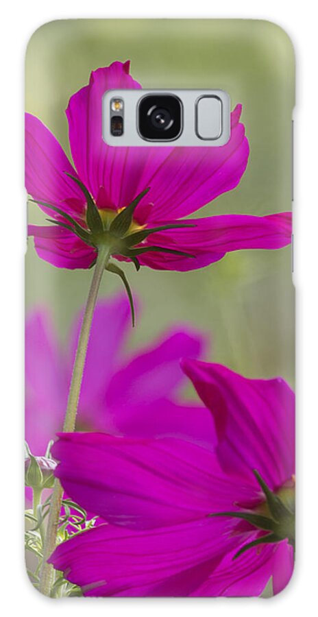 Flowers Galaxy Case featuring the photograph Cosmos by Elvira Butler