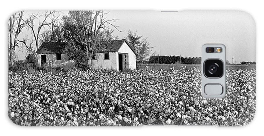 Cotton Farm Galaxy Case featuring the photograph Cotton Farm by Mae Wertz