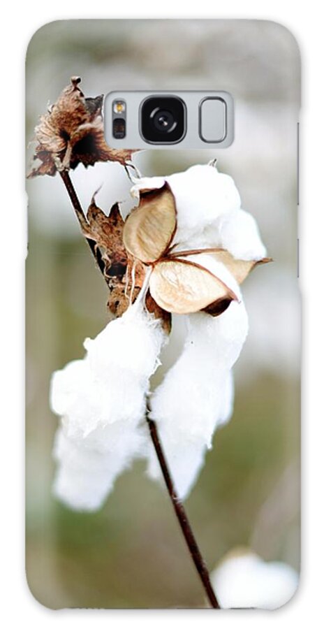 Cotton Galaxy Case featuring the photograph Cotton Picking by Linda Mishler