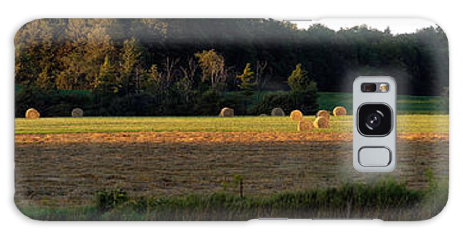 Panorama Galaxy S8 Case featuring the photograph Country Bales by Doug Gibbons