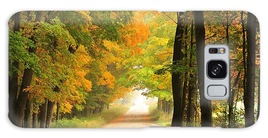 Autumn Galaxy Case featuring the photograph Country Road in Autumn by Terri Gostola