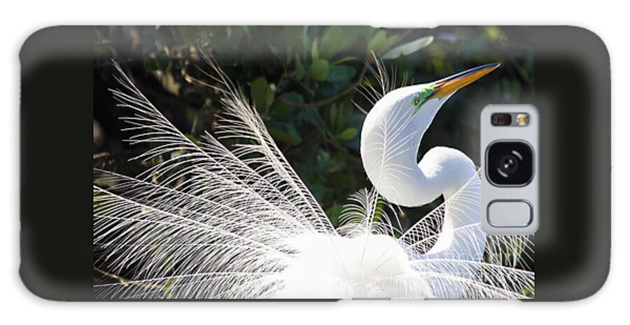 Birds Galaxy Case featuring the photograph Courting Dance by Mary Lou Chmura