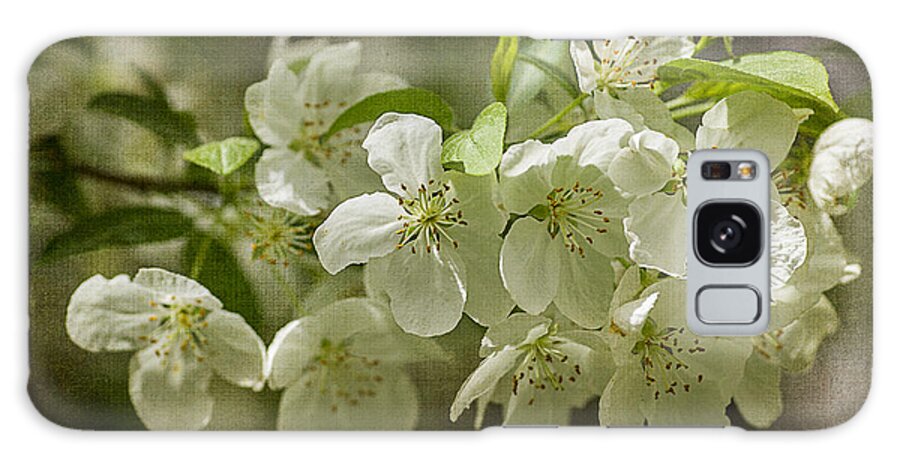 Spring Galaxy Case featuring the photograph Crabapple Blossoms 4 With Textures by Wayne Meyer