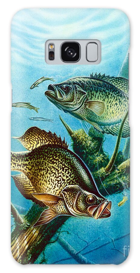 Jon Q Wright Galaxy Case featuring the painting Crappie and root by JQ Licensing