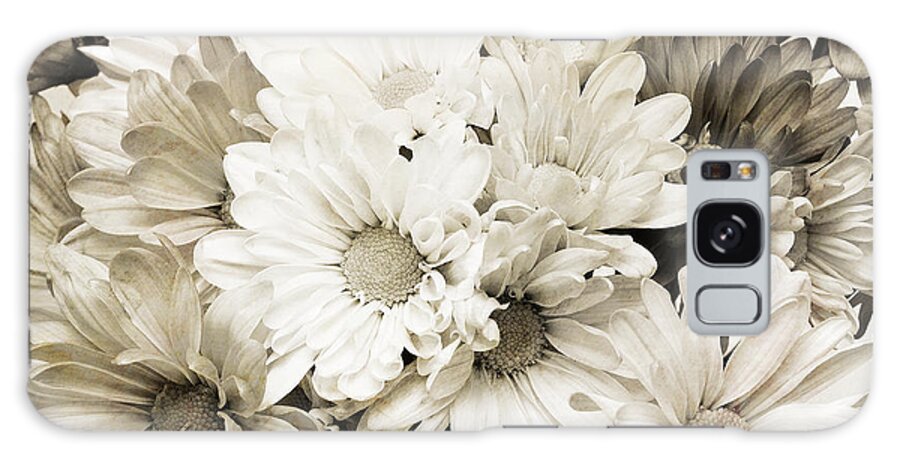 Daisy Galaxy Case featuring the photograph Crazy Daisies In Black And White by Andee Design