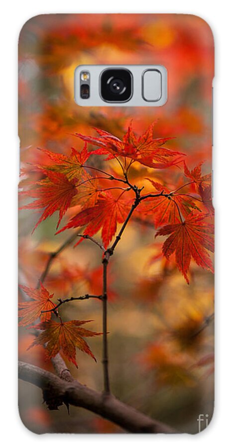 Fall Galaxy Case featuring the photograph Crown of Fire by Mike Reid