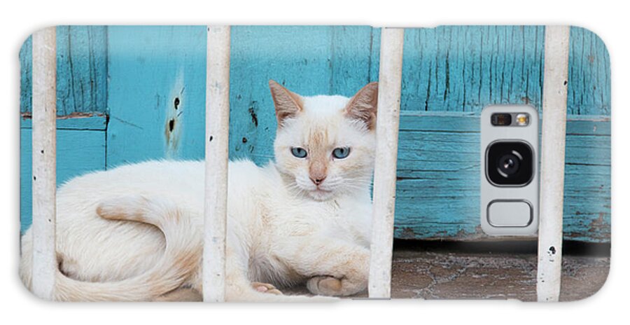 Cat Galaxy Case featuring the photograph Cuba, Trinidad by Emily Wilson