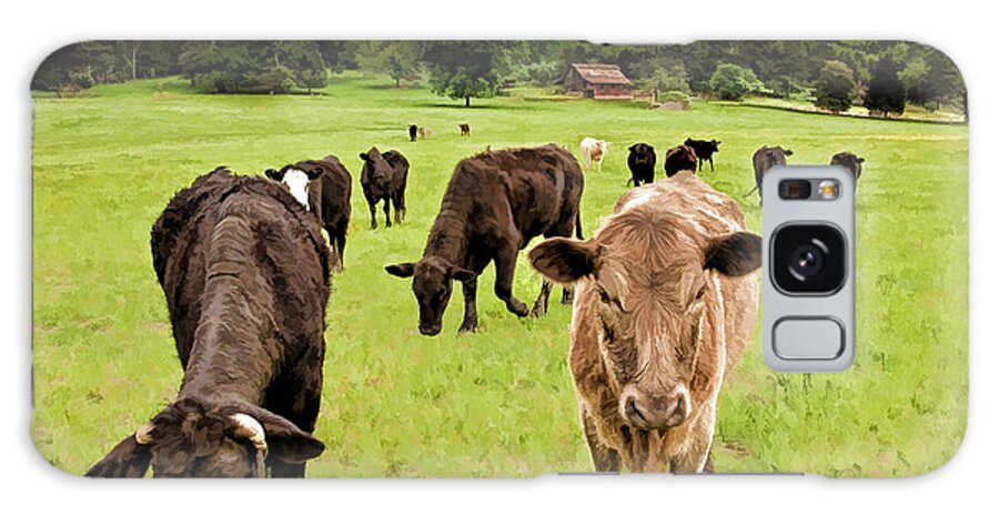 Cows Galaxy S8 Case featuring the photograph Curious by Linda Blair