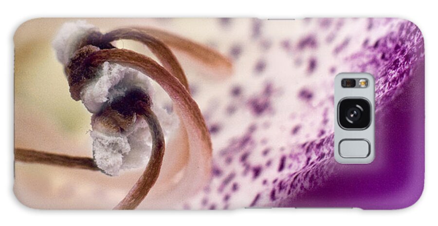 Flowers Galaxy Case featuring the photograph Curling Puff Balls by Robert Culver