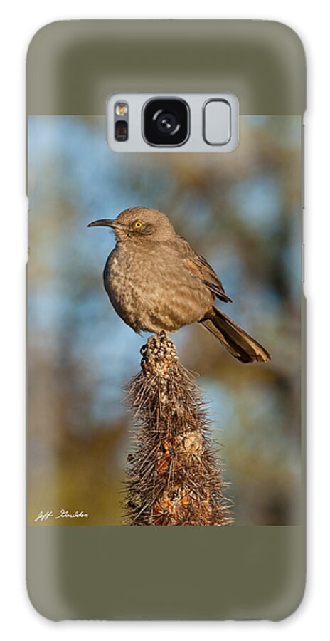 Animal Galaxy Case featuring the photograph Curve-Billed Thrasher on a Cactus by Jeff Goulden