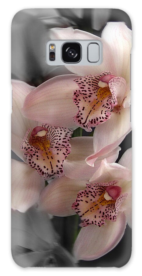 Flowers Galaxy Case featuring the photograph Cymbidium Orchid Pink II Still Life Flower Art Poster by Lily Malor