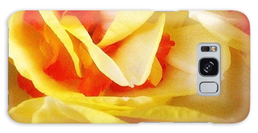 Beautiful Galaxy Case featuring the photograph #daffodils #doubledaffs #pretty by Deborah Wilbee