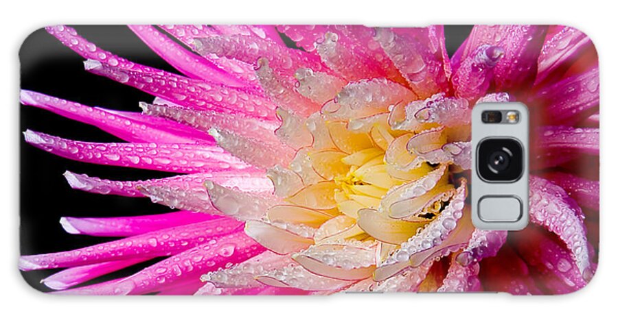 Plant Galaxy Case featuring the photograph Dahlia Burst by Mary Jo Allen
