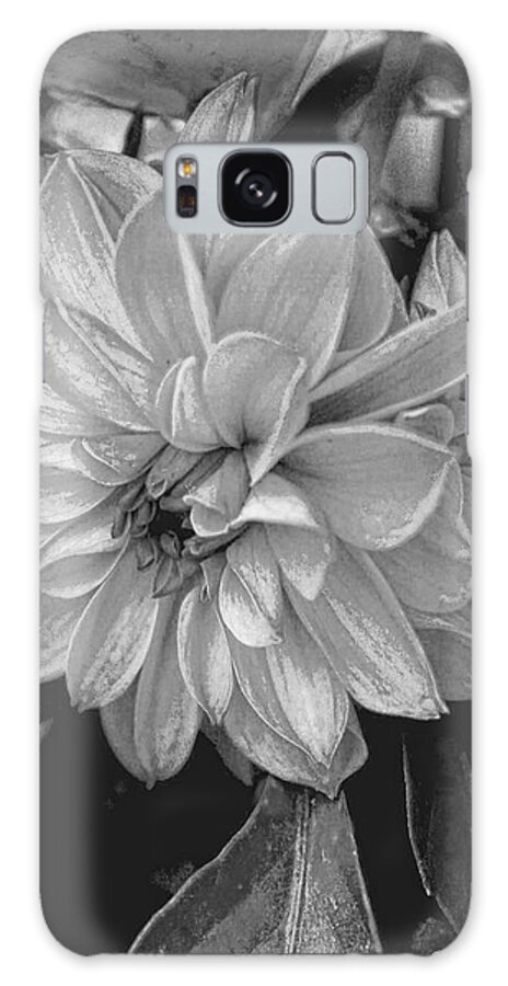 Dahlia Galaxy Case featuring the photograph Dahlia in black and white by Bonnie Willis