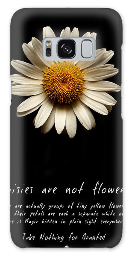 Daisies Are Not Flowers Galaxy Case featuring the photograph Daisies are not flowers by Weston Westmoreland