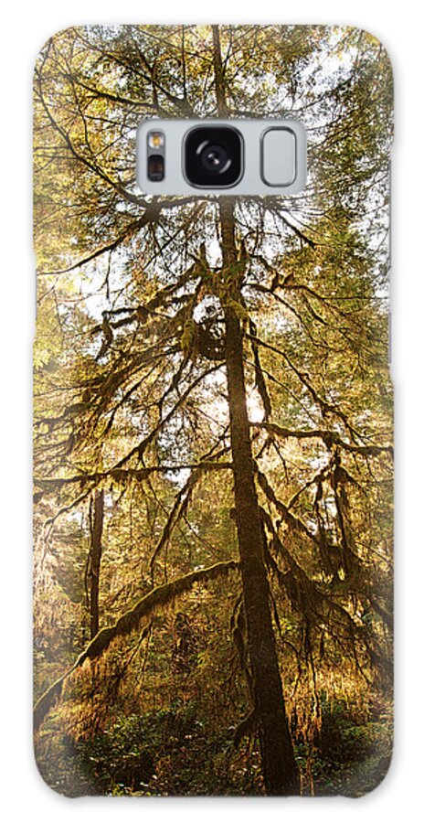 Rain Forest Galaxy Case featuring the photograph Dancing in the Light by Allan Van Gasbeck