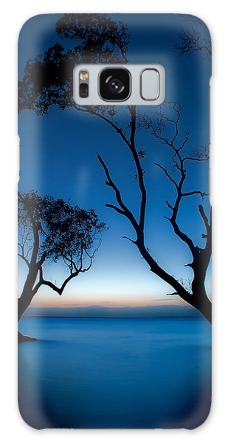 2012 Galaxy Case featuring the photograph Dancing Mangroves by Robert Charity