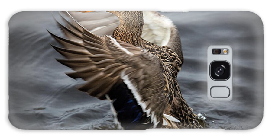 Mallard Galaxy Case featuring the photograph Dancing Queen by Randy Hall