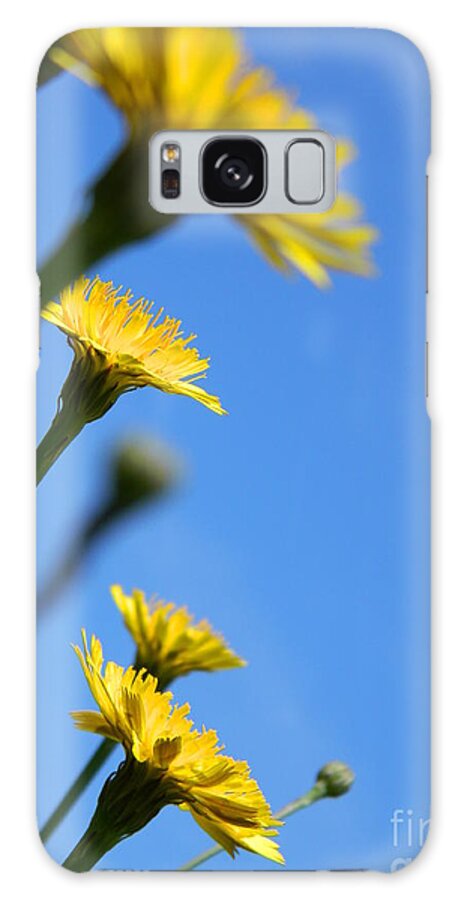Flower Galaxy Case featuring the photograph Dancing with the flowers by Andrea Anderegg