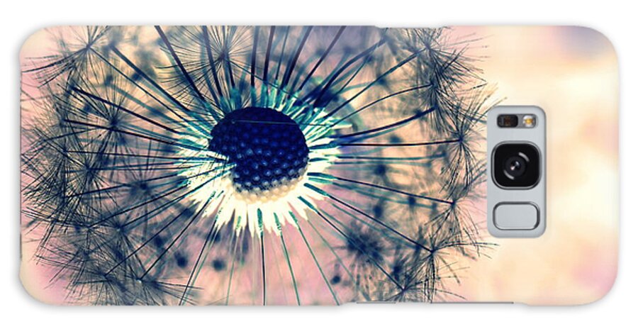 Dandelions Galaxy Case featuring the photograph Dandelion 5 by Amanda Mohler