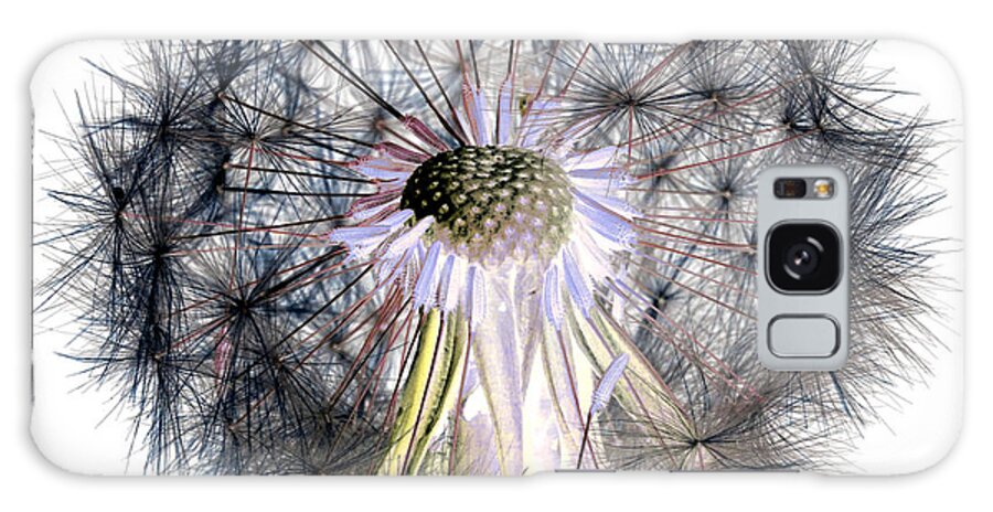 Picture Galaxy S8 Case featuring the photograph Dandelion Clock No.1 by Tony Mills