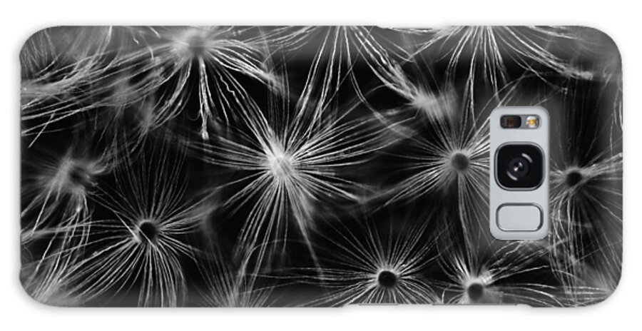 Blowball Galaxy Case featuring the photograph Dandelion detail black and white by Matthias Hauser