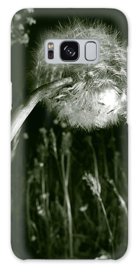 Beautiful Galaxy Case featuring the photograph Dandelion seed head in a meadow by Ulrich Kunst And Bettina Scheidulin