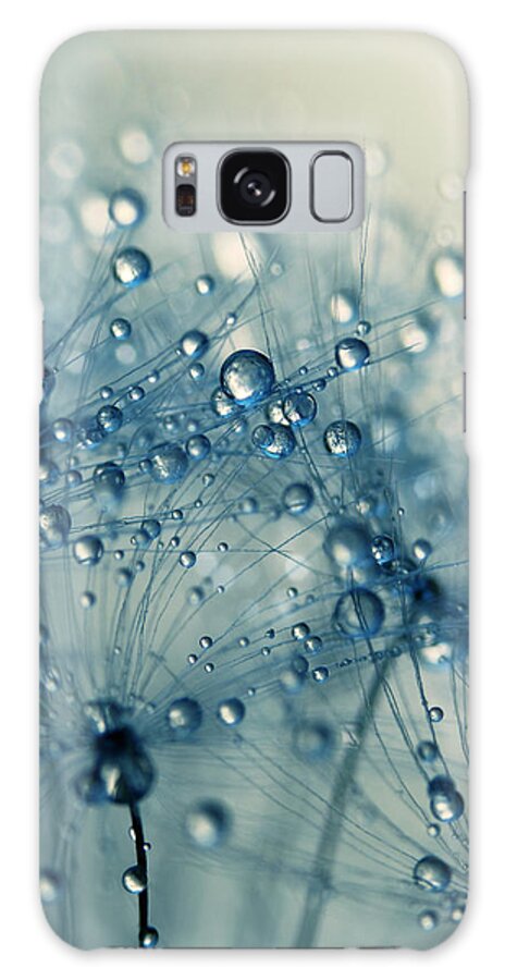 Dandelion Galaxy S8 Case featuring the photograph Dandy Blue Shower by Sharon Johnstone