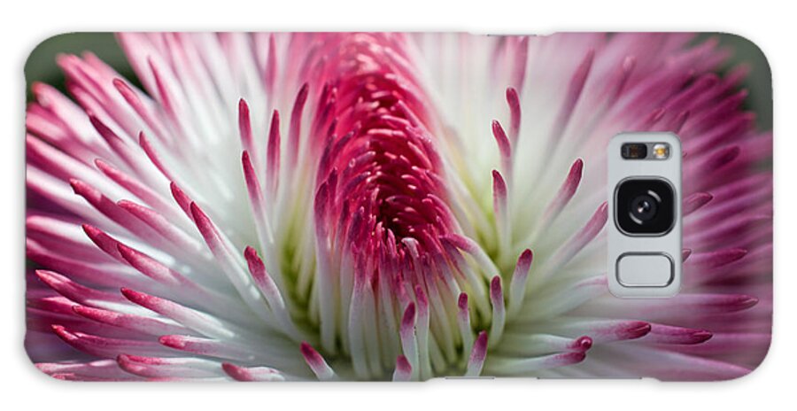 Petals Galaxy Case featuring the photograph Dark Pink and White Spiky Petals by Jordan Blackstone
