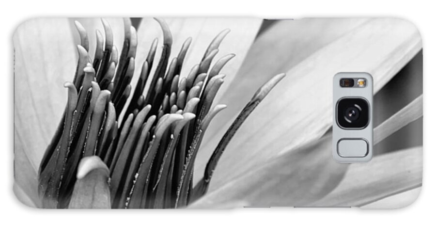 Beautiful Galaxy Case featuring the photograph Dark Throated Beauty III by Dawn Currie