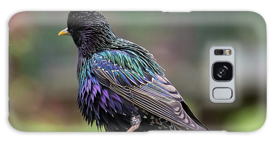 Starling Galaxy Case featuring the photograph Darling Starling by Terri Waters