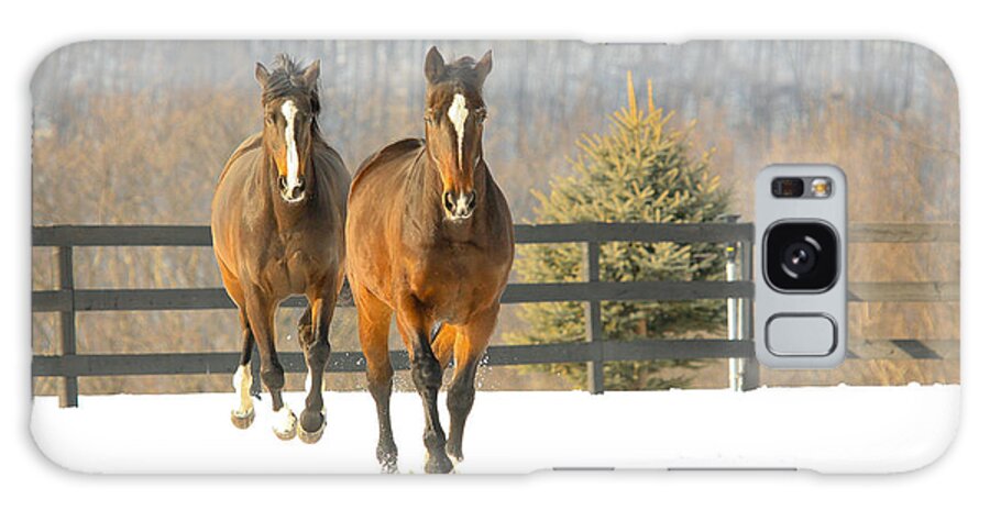 Horses Galaxy Case featuring the photograph Dashing through the Snow by Carol Lynn Coronios