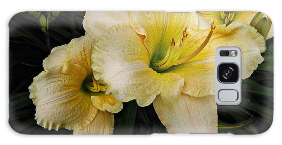 Day Lilies Galaxy Case featuring the photograph Day lilies a short life by David Dehner