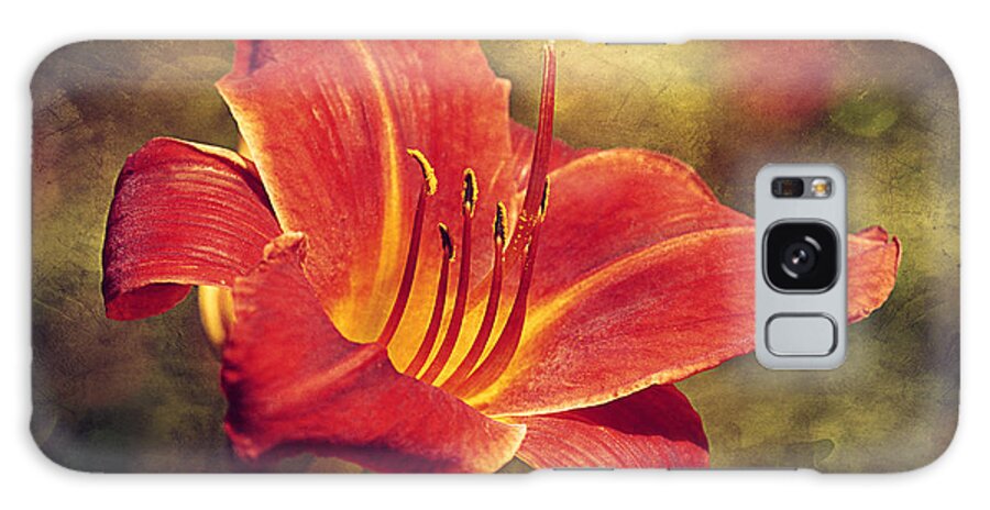 Summer Galaxy Case featuring the photograph Daylily by Maria Angelica Maira