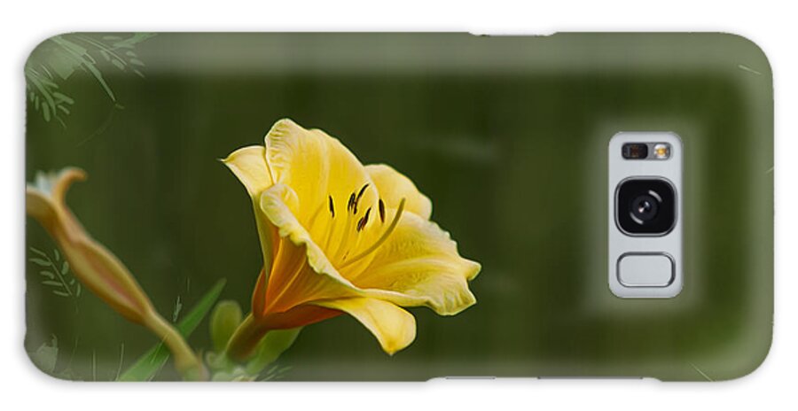 Flower Galaxy Case featuring the photograph Daylily Sunshine by Bill and Linda Tiepelman