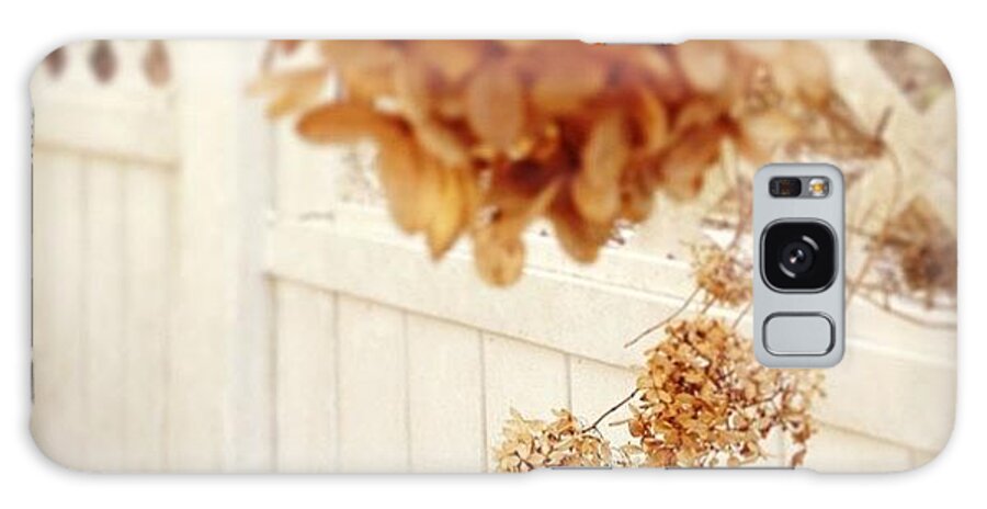 Brown Galaxy Case featuring the photograph #dead #flowers #brown #focus #wtf by Amber Campanaro